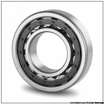 1.181 Inch | 30 Millimeter x 2.441 Inch | 62 Millimeter x 0.787 Inch | 20 Millimeter  NSK NUP2206W  Cylindrical Roller Bearings