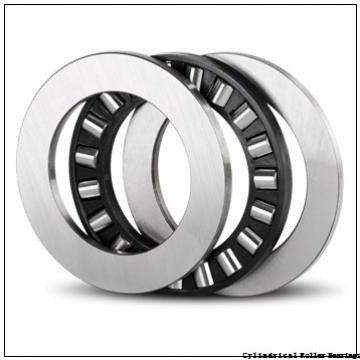 3.937 Inch | 100 Millimeter x 7.087 Inch | 180 Millimeter x 1.811 Inch | 46 Millimeter  NSK NU2220WC3  Cylindrical Roller Bearings