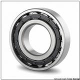FAG NU418-M1-C3  Cylindrical Roller Bearings