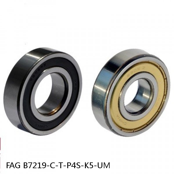 B7219-C-T-P4S-K5-UM FAG high precision ball bearings #1 small image