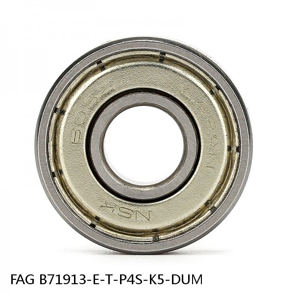 B71913-E-T-P4S-K5-DUM FAG high precision bearings