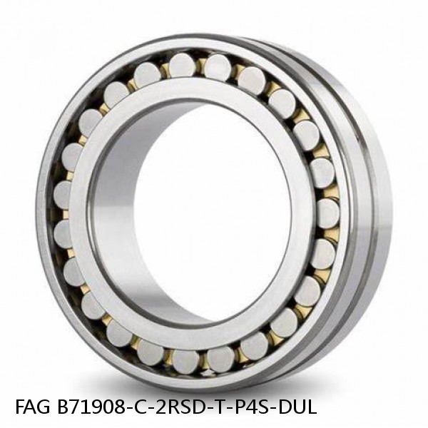B71908-C-2RSD-T-P4S-DUL FAG high precision bearings