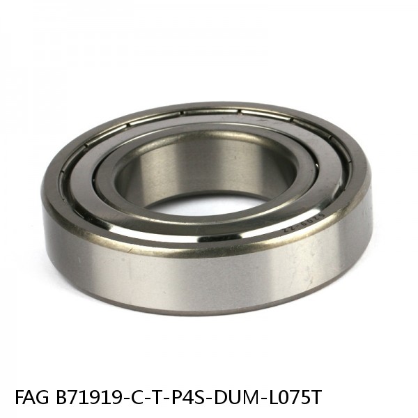 B71919-C-T-P4S-DUM-L075T FAG precision ball bearings #1 small image