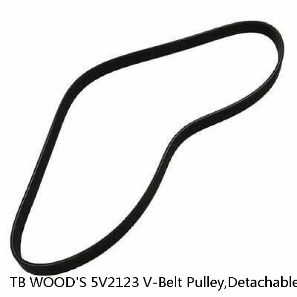 TB WOOD'S 5V2123 V-Belt Pulley,Detachable,3Groove,21.2"OD #1 small image