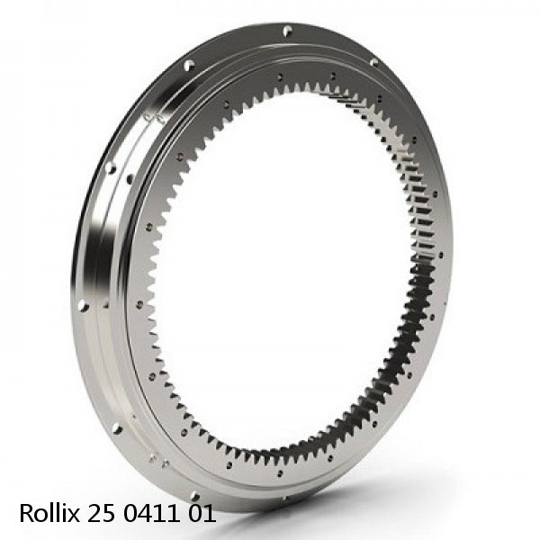 25 0411 01 Rollix Slewing Ring Bearings #1 image