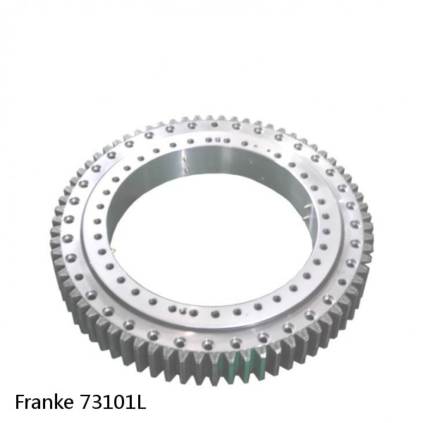 73101L Franke Slewing Ring Bearings #1 image