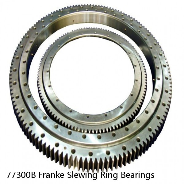 77300B Franke Slewing Ring Bearings #1 image