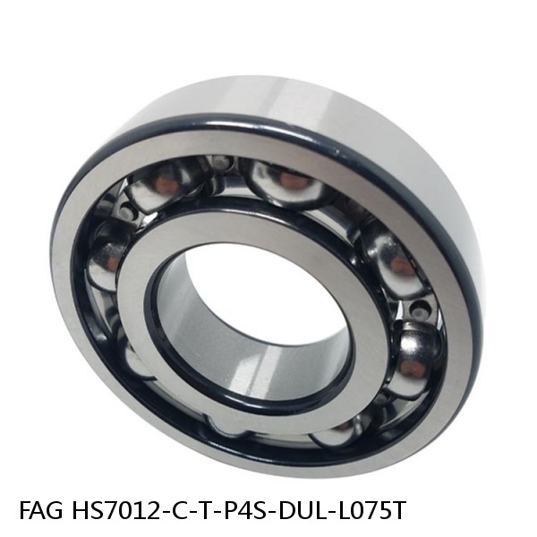 HS7012-C-T-P4S-DUL-L075T FAG precision ball bearings #1 image
