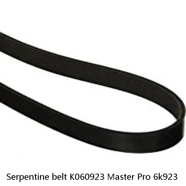 Serpentine belt K060923 Master Pro 6k923 #1 image